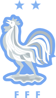 Fédération française de football